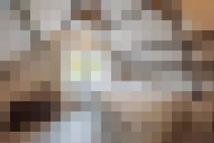 Kadepad 11 Raamsdonksveer thumbnail 35