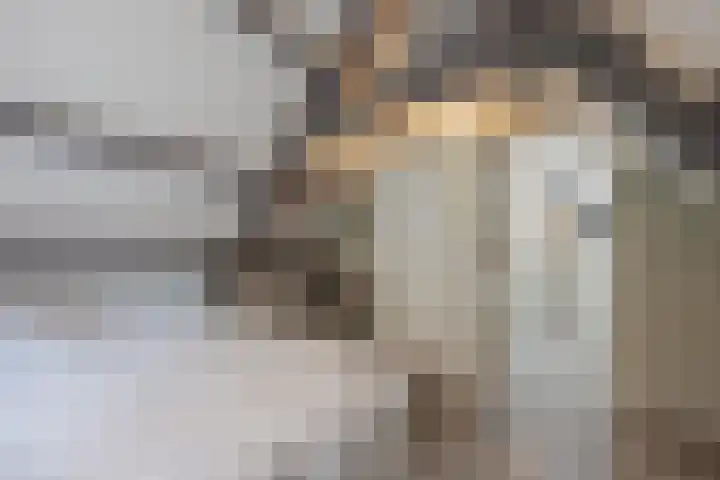 Kadepad 11 Raamsdonksveer thumbnail 36