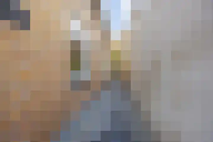 Kadepad 11 Raamsdonksveer thumbnail 39