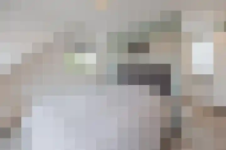 Kadepad 11 Raamsdonksveer thumbnail 4