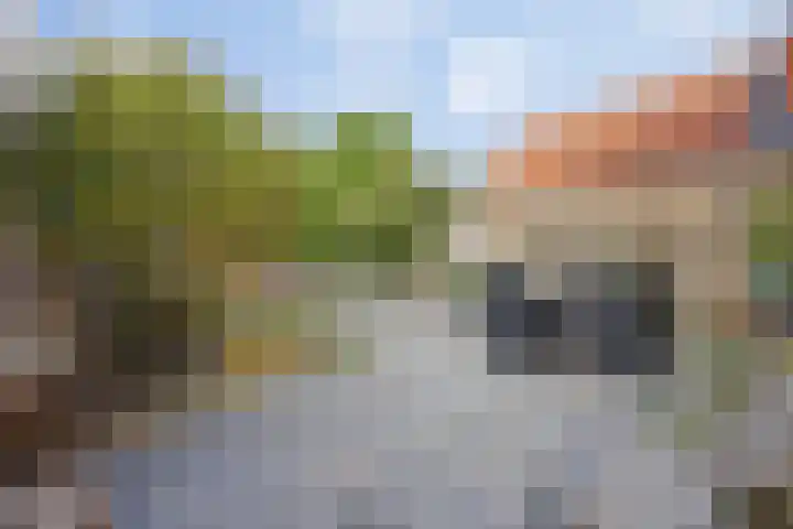 Kadepad 11 Raamsdonksveer thumbnail 40