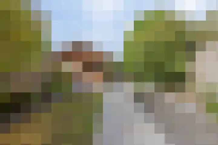 Kadepad 11 Raamsdonksveer thumbnail 43