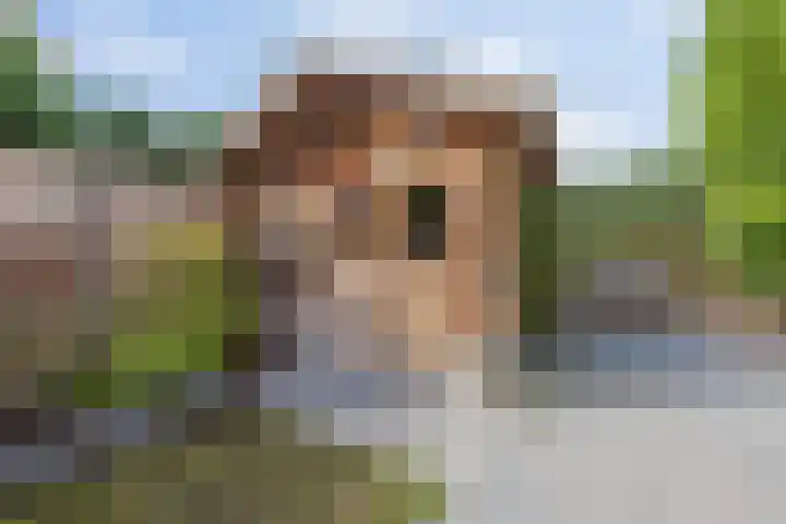 Kadepad 11 Raamsdonksveer thumbnail 44