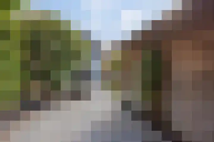Kadepad 11 Raamsdonksveer thumbnail 45