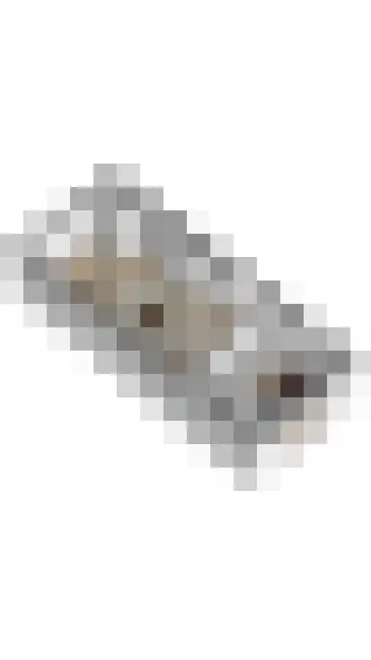 Kadepad 11 Raamsdonksveer thumbnail 48