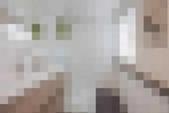 Kadepad 11 Raamsdonksveer thumbnail 5