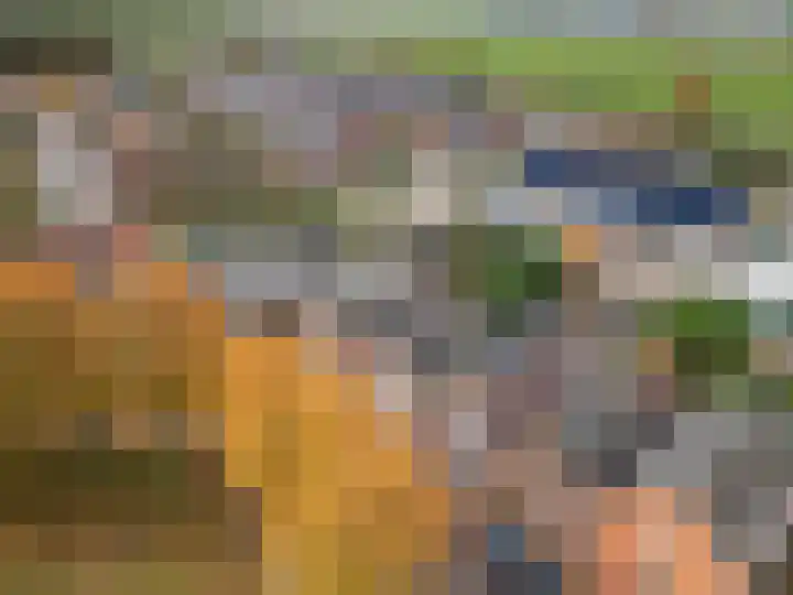 Kadepad 11 Raamsdonksveer thumbnail 7