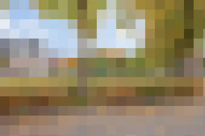 Kadepad 11 Raamsdonksveer thumbnail 9