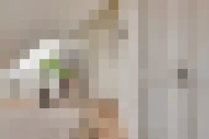 Kadeplein 16 Roosendaal thumbnail 32