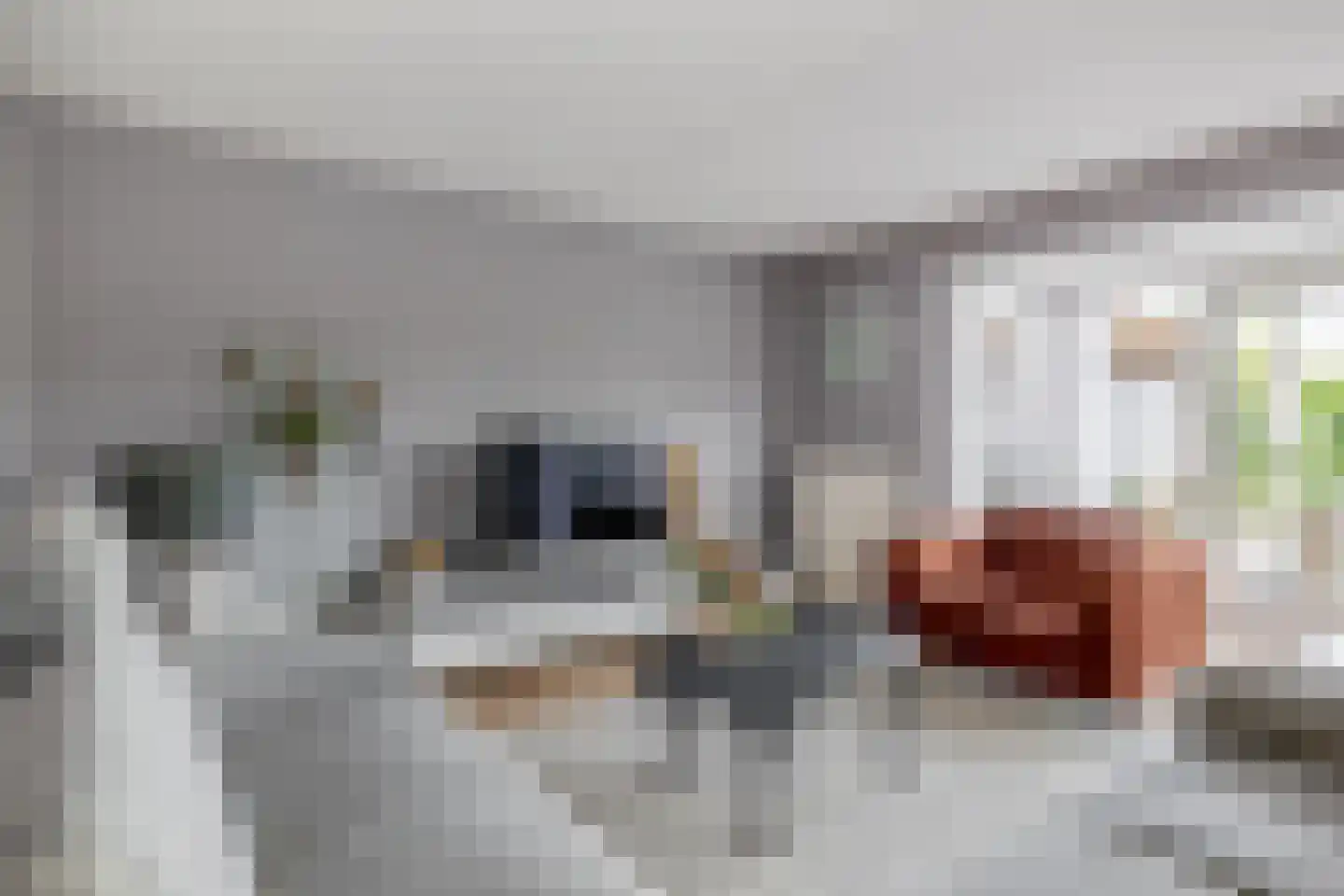 Kadeweg 23 Middelharnis thumbnail 11