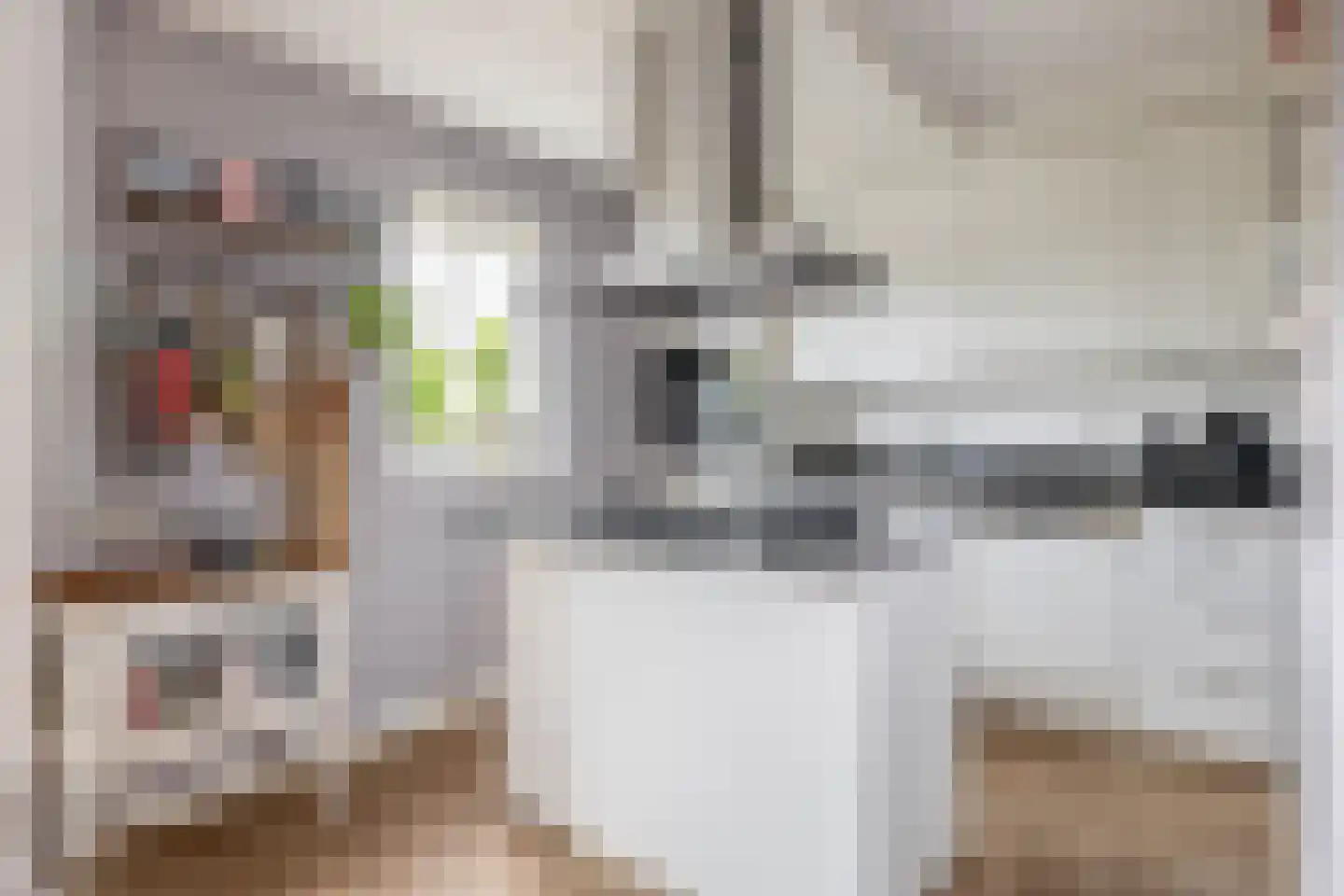 Kadeweg 23 Middelharnis thumbnail 16
