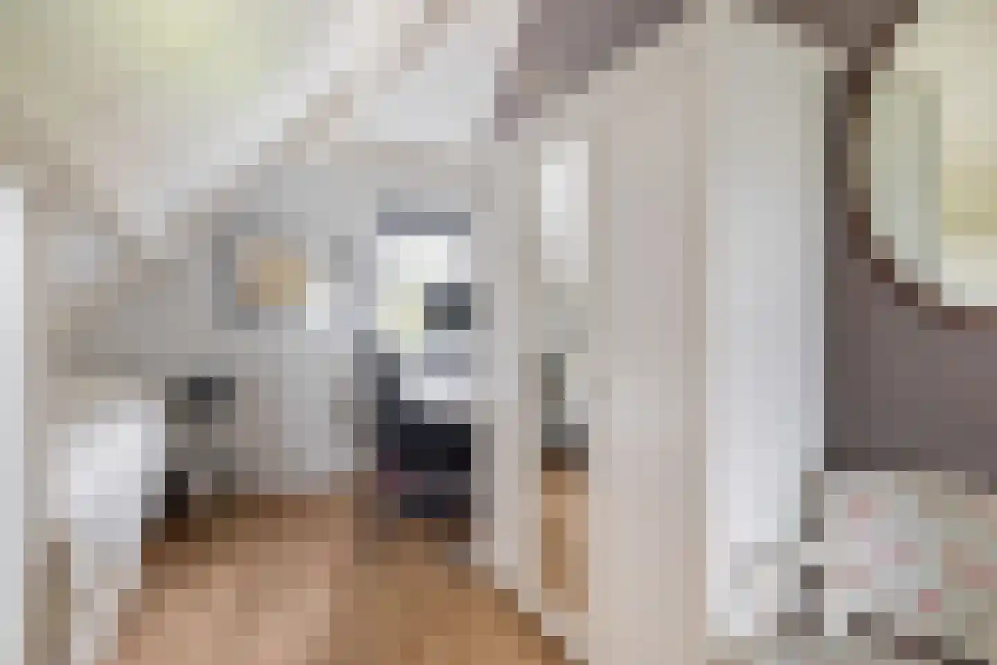 Kadeweg 23 Middelharnis thumbnail 26
