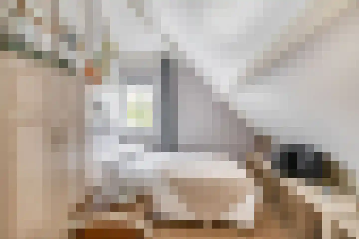 Kadeweg 23 Middelharnis thumbnail 27