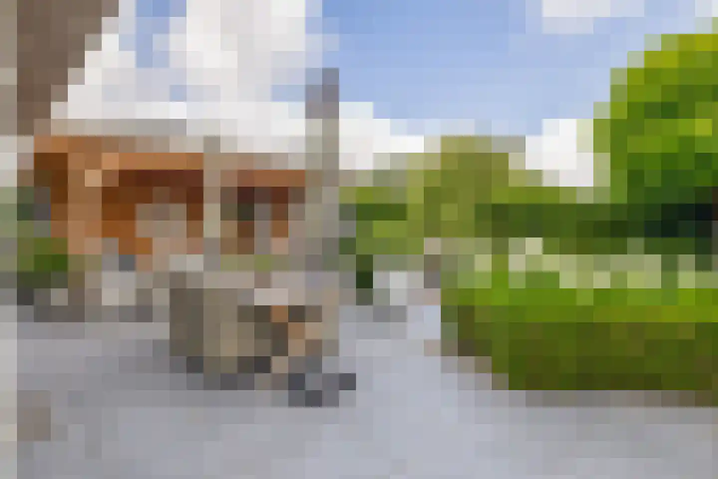 Kadeweg 23 Middelharnis thumbnail 31