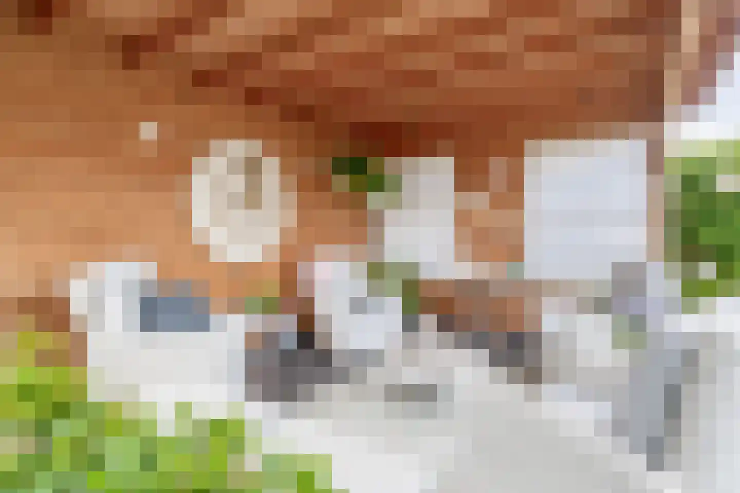 Kadeweg 23 Middelharnis thumbnail 32