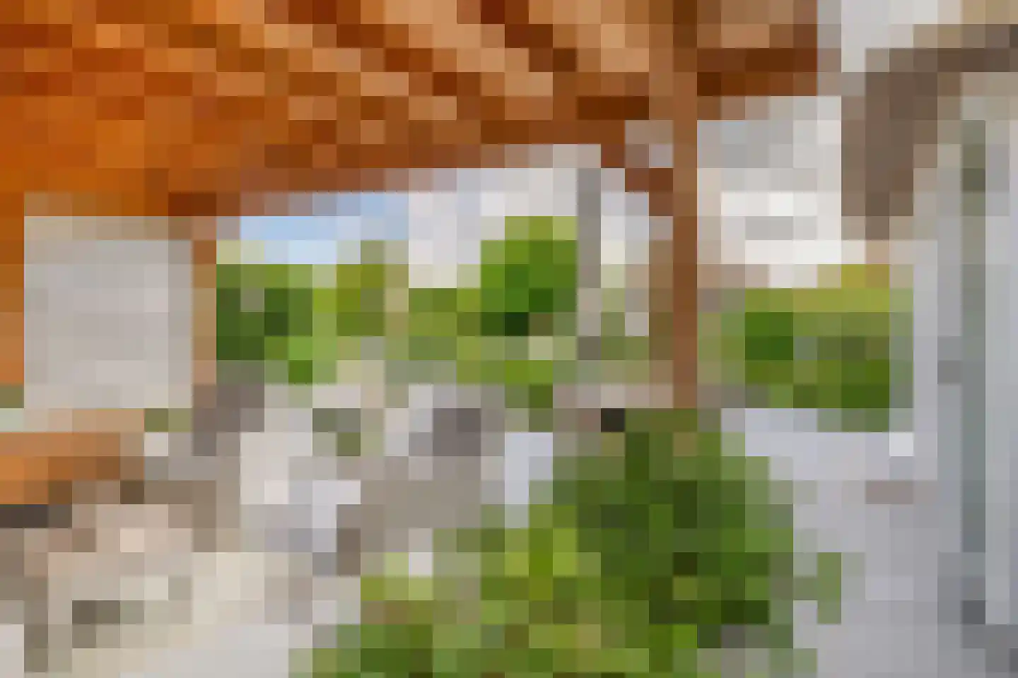 Kadeweg 23 Middelharnis thumbnail 33