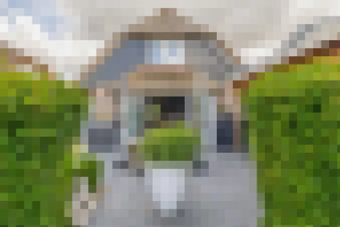 Kadeweg 23 Middelharnis thumbnail 35
