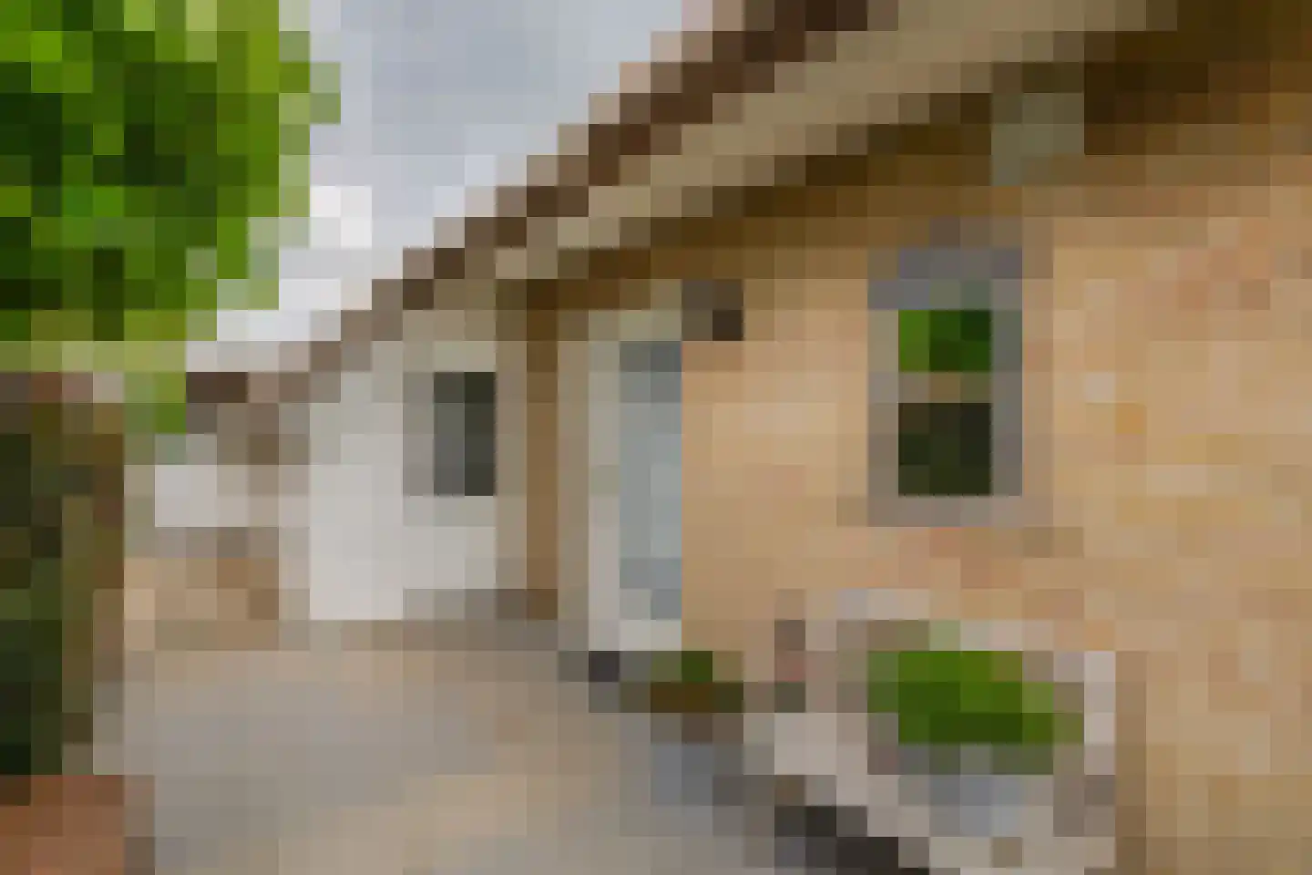 Kadeweg 23 Middelharnis thumbnail 8