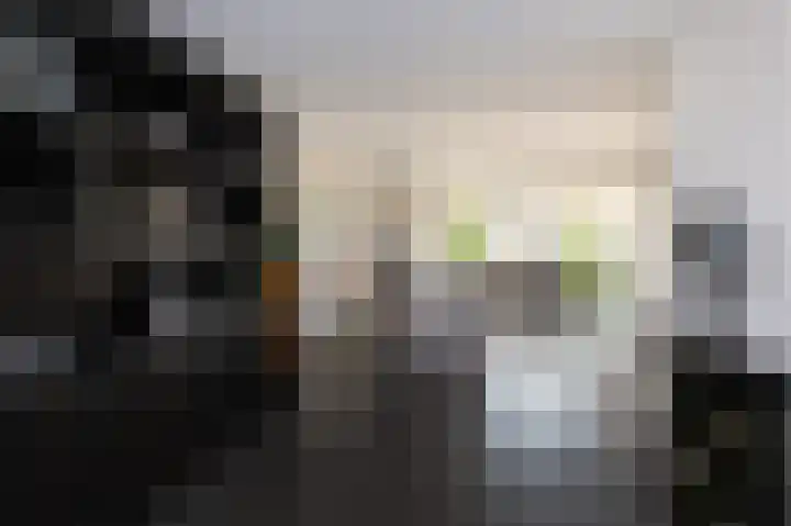 Kadeweg 37 Middelharnis thumbnail 13