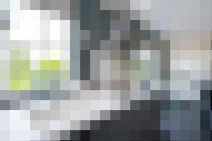 Kadeweg 37 Middelharnis thumbnail 16