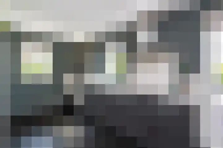 Kadeweg 37 Middelharnis thumbnail 18