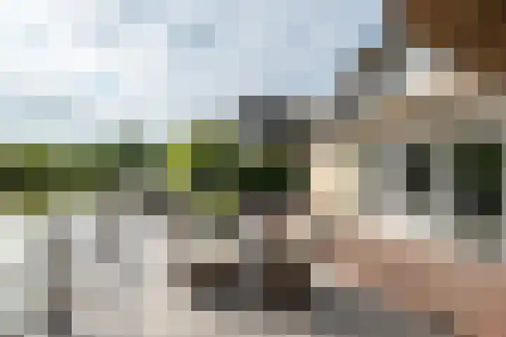 Kadeweg 37 Middelharnis thumbnail 33
