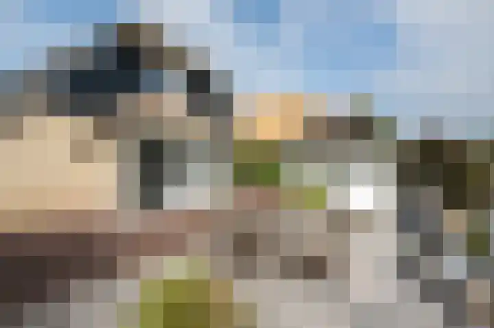 Kadeweg 37 Middelharnis thumbnail 34