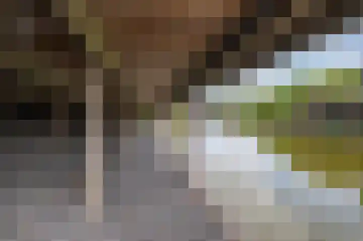 Kadeweg 37 Middelharnis thumbnail 36