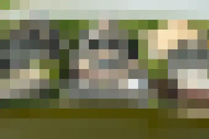 Kadeweg 37 Middelharnis thumbnail 38