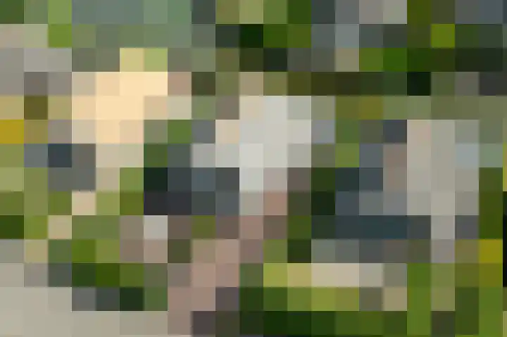 Kadeweg 37 Middelharnis thumbnail 39