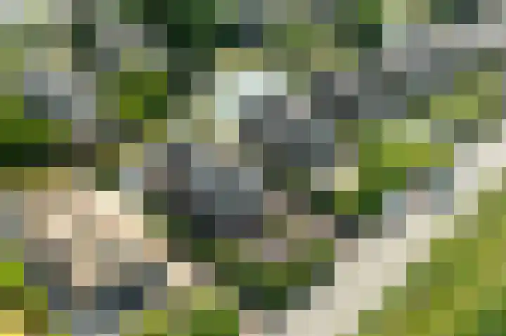 Kadeweg 37 Middelharnis thumbnail 40