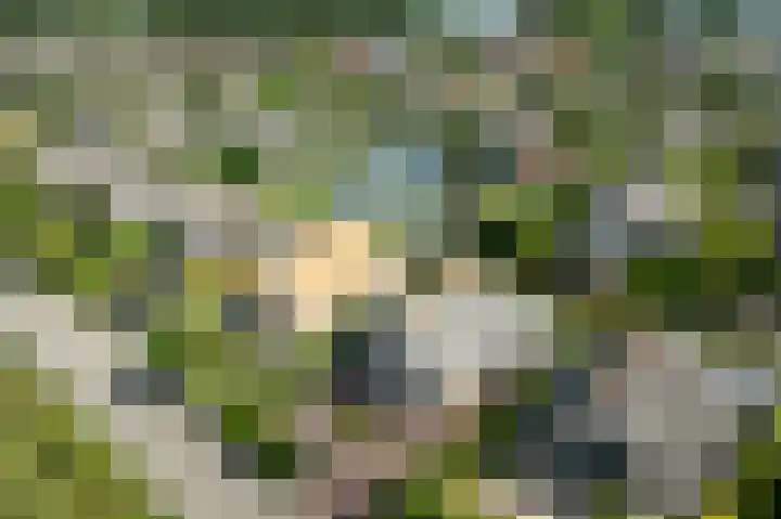 Kadeweg 37 Middelharnis thumbnail 41