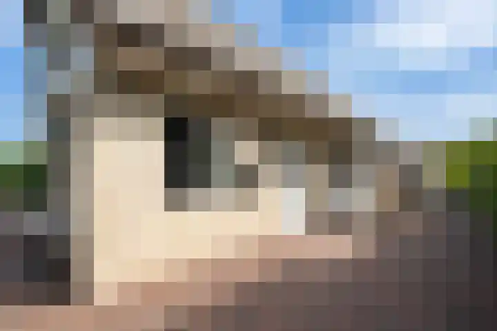 Kadeweg 37 Middelharnis thumbnail 5