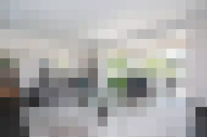 Kadeweg 37 Middelharnis thumbnail 9