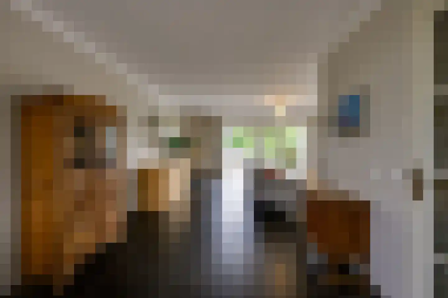Kadeweg 47 Middelharnis thumbnail 12