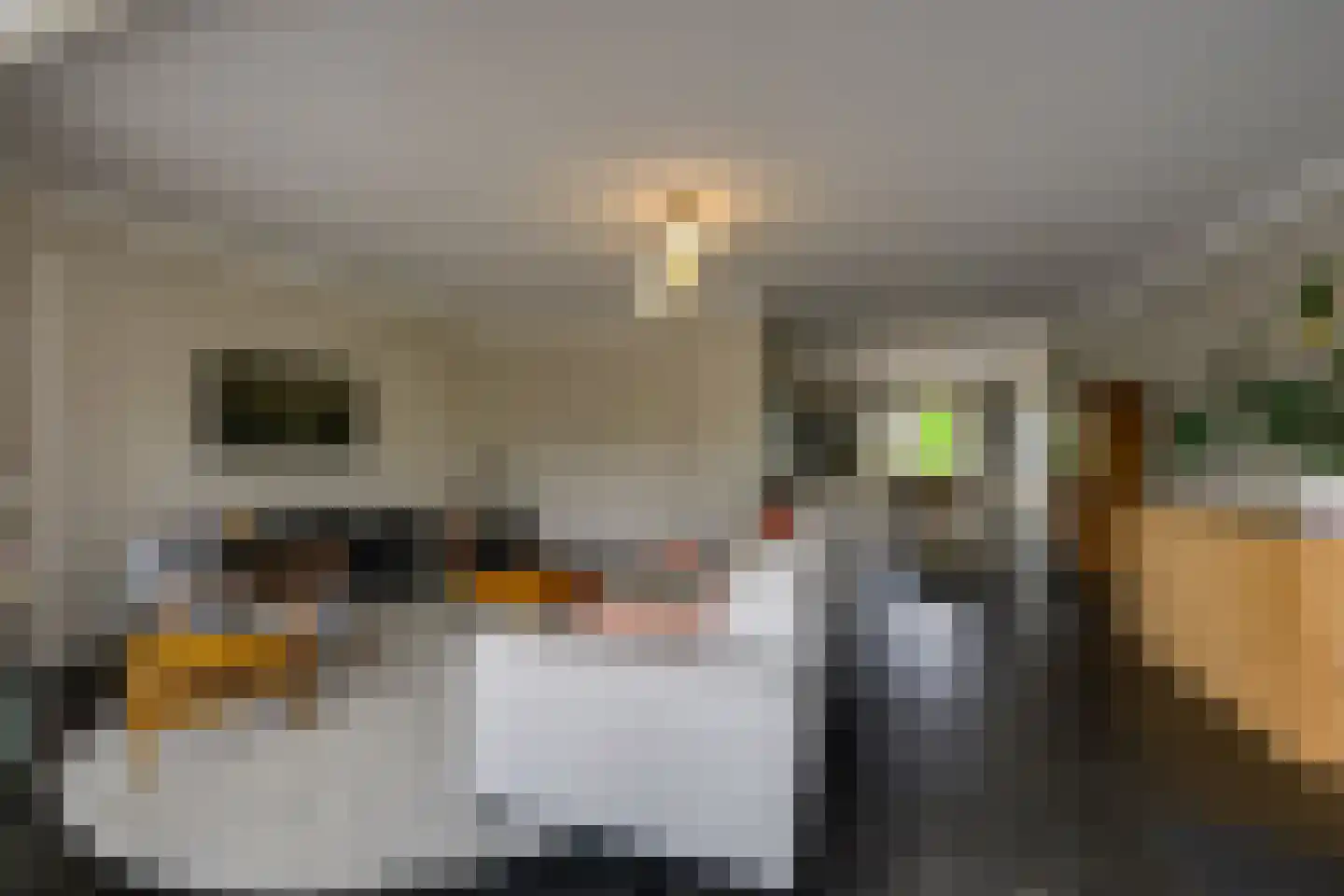 Kadeweg 47 Middelharnis thumbnail 15