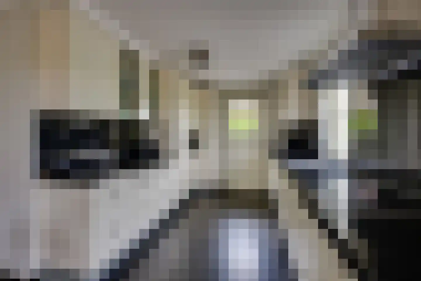 Kadeweg 47 Middelharnis thumbnail 19
