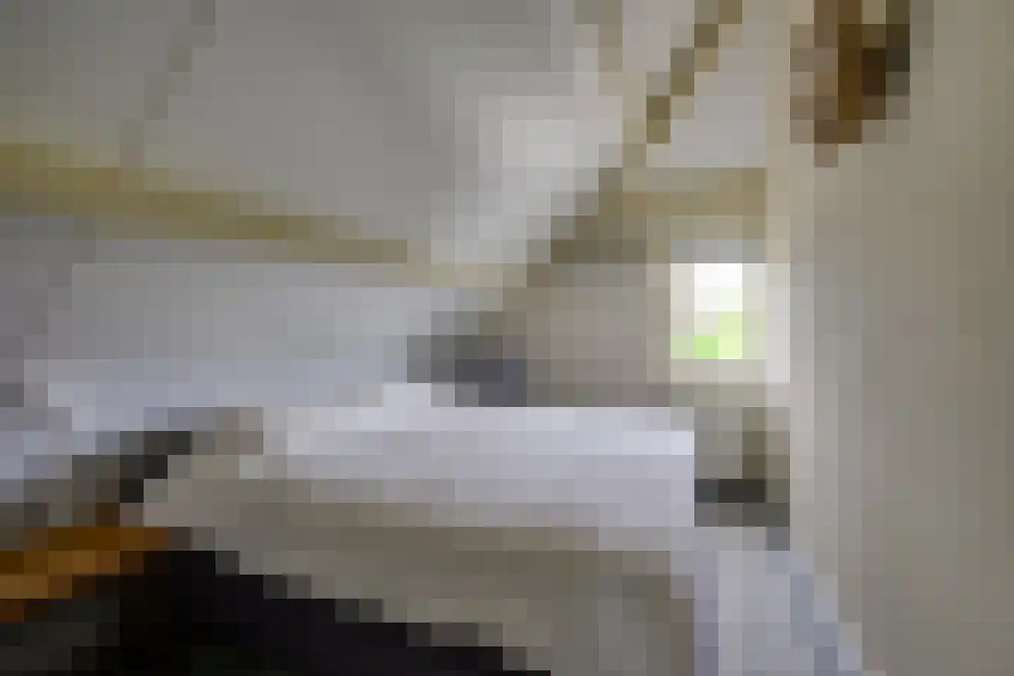 Kadeweg 47 Middelharnis thumbnail 23