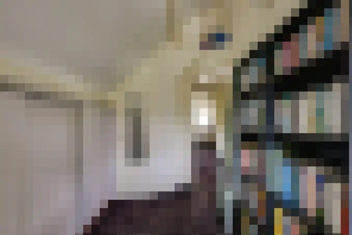 Kadeweg 47 Middelharnis thumbnail 26
