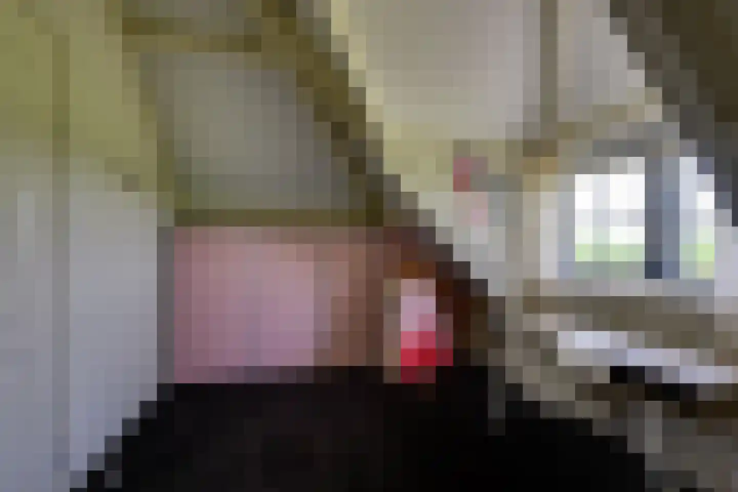 Kadeweg 47 Middelharnis thumbnail 28