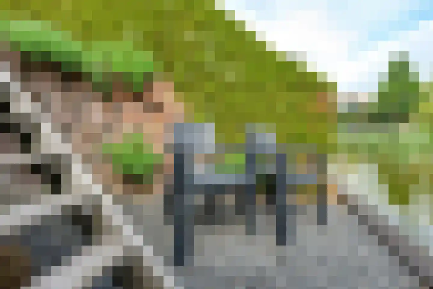 Kadeweg 47 Middelharnis thumbnail 44