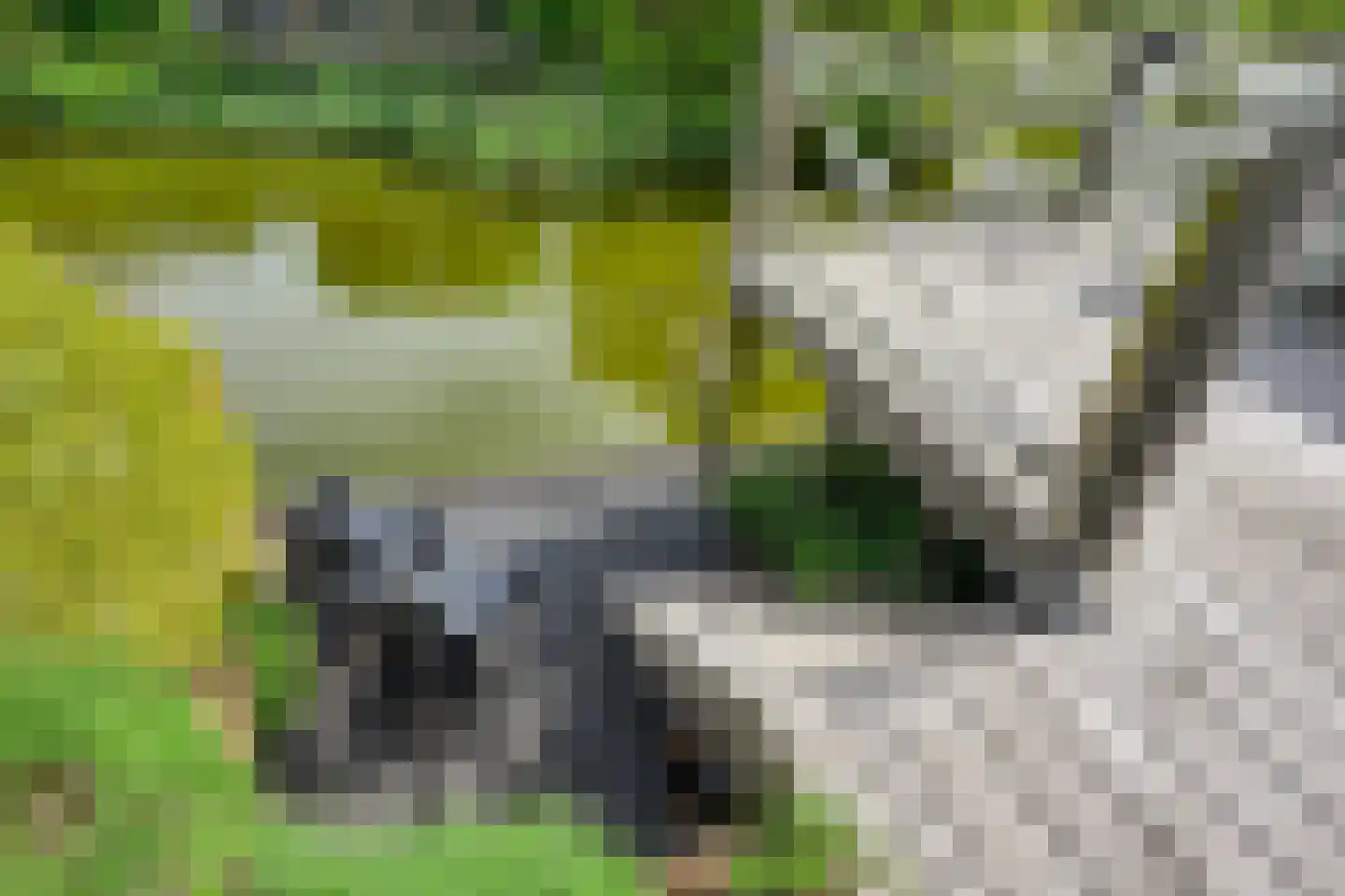 Kadeweg 47 Middelharnis thumbnail 45