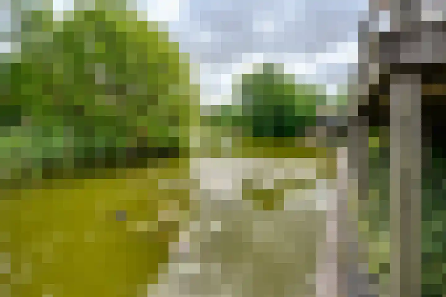 Kadeweg 47 Middelharnis thumbnail 46