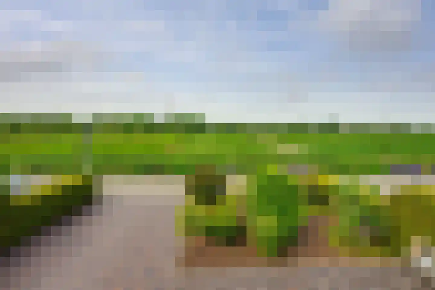 Kadeweg 47 Middelharnis thumbnail 48