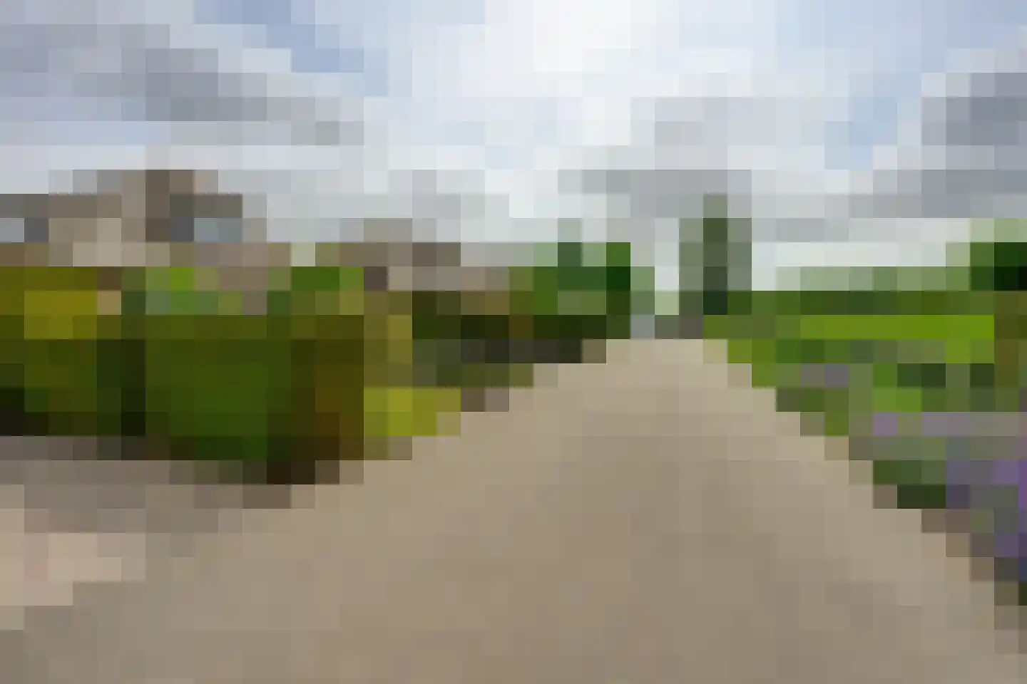 Kadeweg 47 Middelharnis thumbnail 5