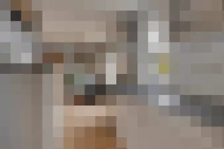 Kadeweg 9 Middelharnis thumbnail 17