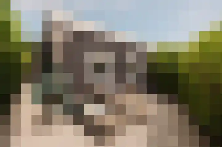 Kadijk 1 B Venhuizen thumbnail 34