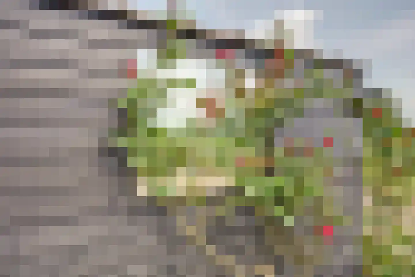 Kadijk 1 Terwolde thumbnail 11