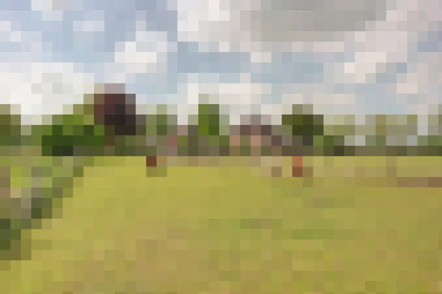 Kadijk 1 Terwolde thumbnail 13