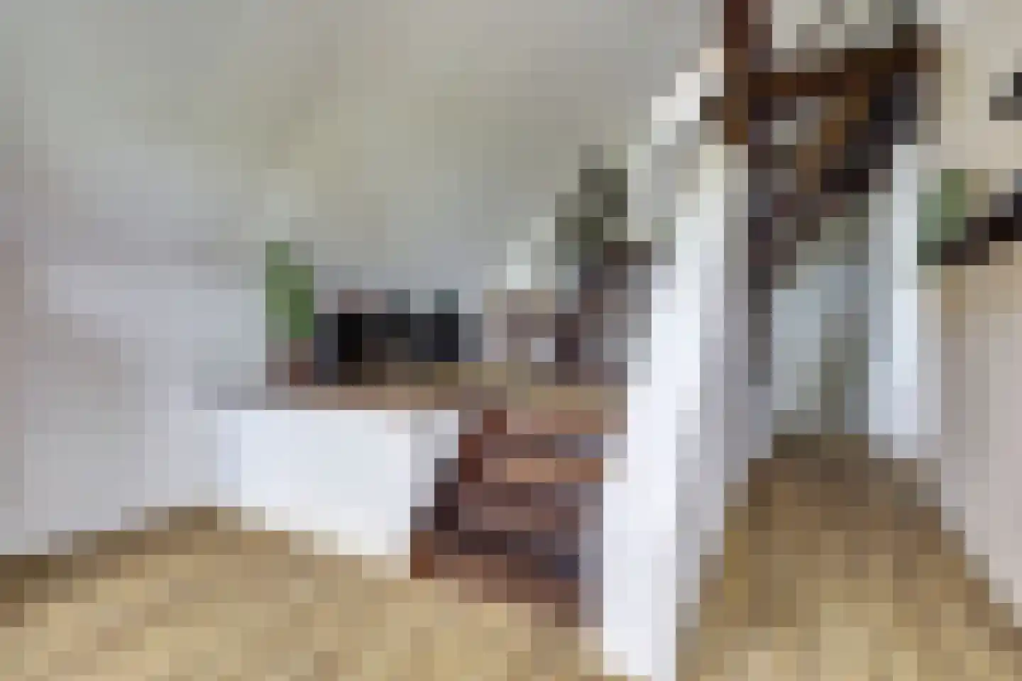 Kadijk 1 Terwolde thumbnail 19